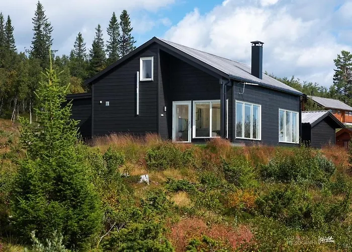 Skarvebo - With Amazing View Feriehus