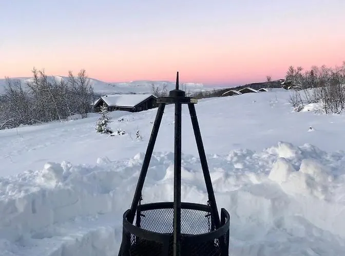 Feriehus Skarvebo - With Amazing View Hol (Buskerud)