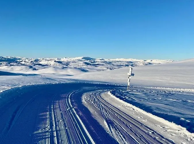 Skarvebo - With Amazing View * Hol (Buskerud)