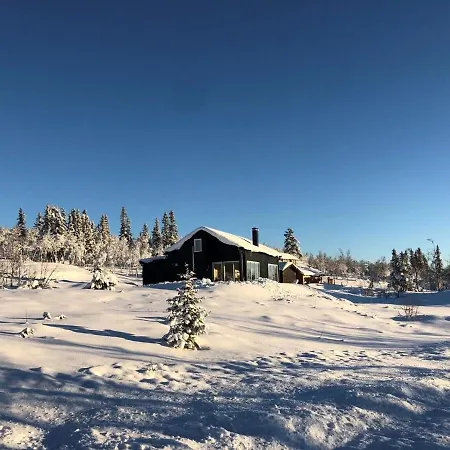 Skarvebo - With Amazing View Holiday home *