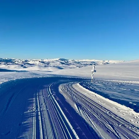 Skarvebo - With Amazing View * Hol (Buskerud)